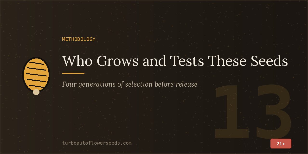 Methodology title card describing four generations of selection before a line is released