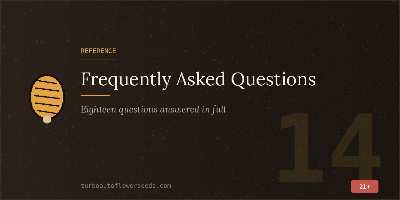 Reference title card indicating that eighteen questions are answered in full below