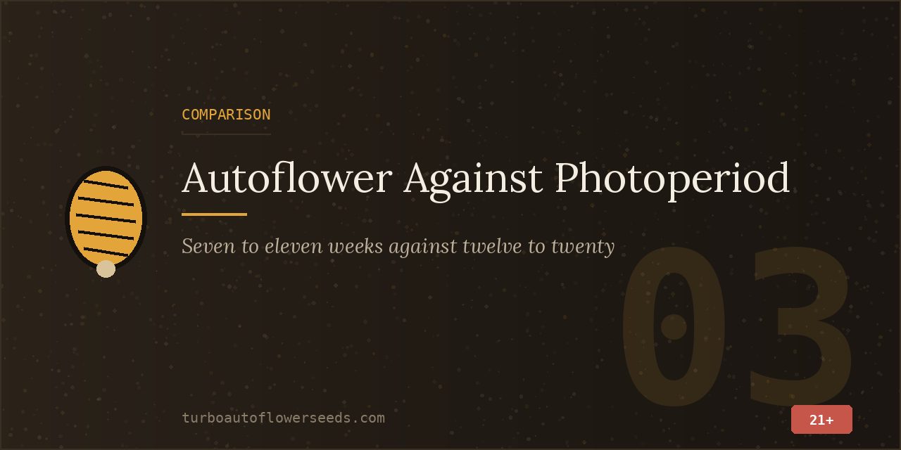 Comparison title card contrasting a seven to eleven week autoflower cycle with a twelve to twenty week photoperiod cycle