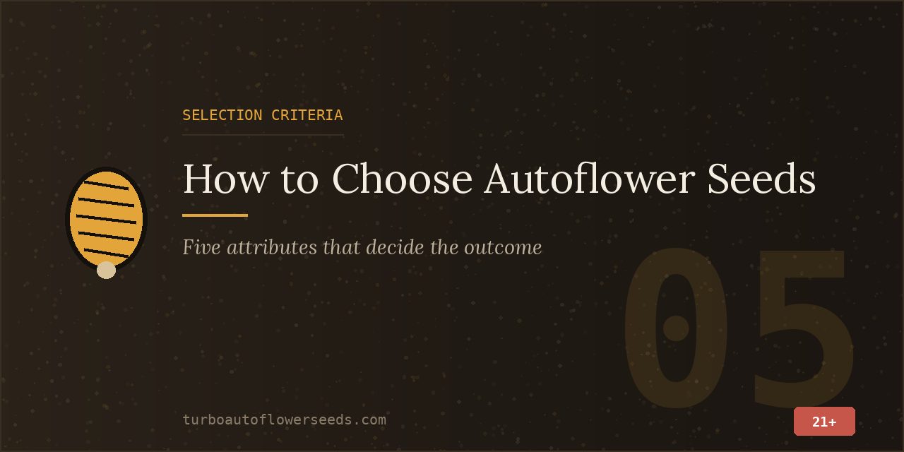 Selection criteria title card listing five attributes that decide the outcome of an autoflower grow