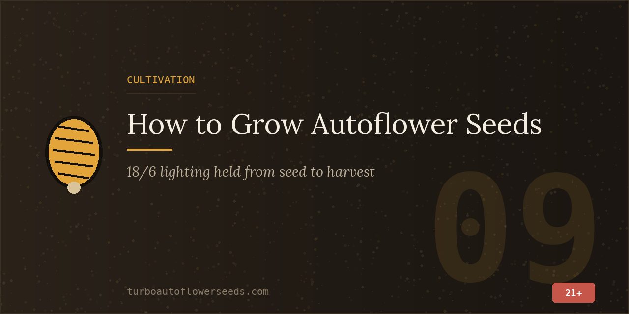 Cultivation title card noting that an 18/6 light schedule is held from seed to harvest