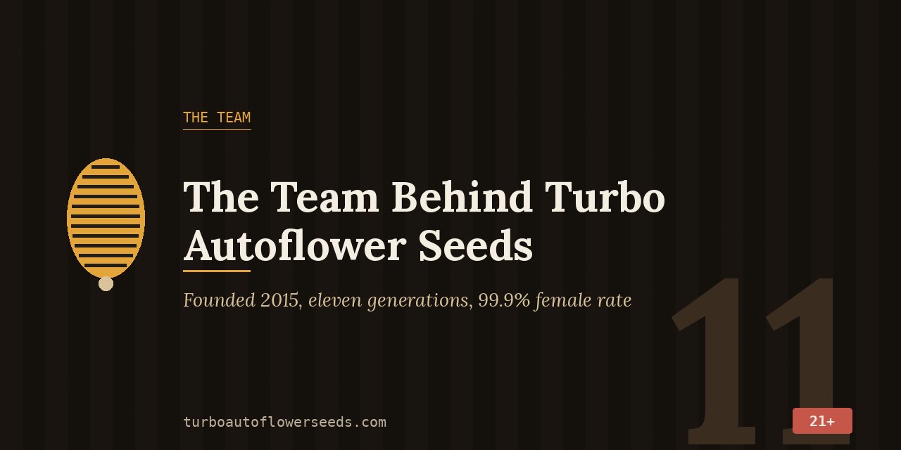 Team title card for Turbo Autoflower Seeds: founded 2015, eleven generations of Blue Dream Auto selection, 99.9 percent female rate