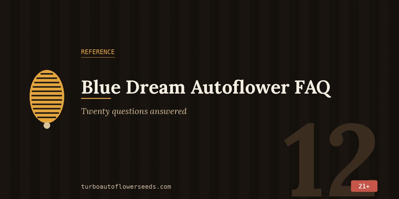 Reference title card indicating that twenty Blue Dream autoflower questions are answered below
