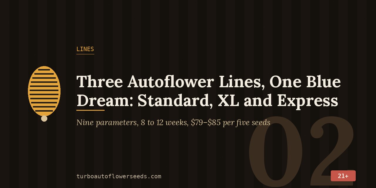 Lines title card comparing Standard, XL and Express Blue Dream autos across nine parameters, 8 to 12 weeks
