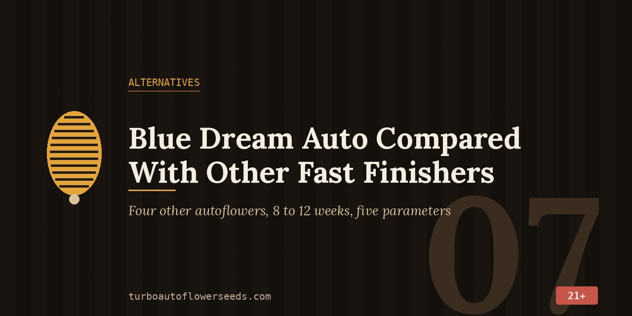 Alternatives title card comparing Blue Dream Auto with four other fast-finishing autoflowers