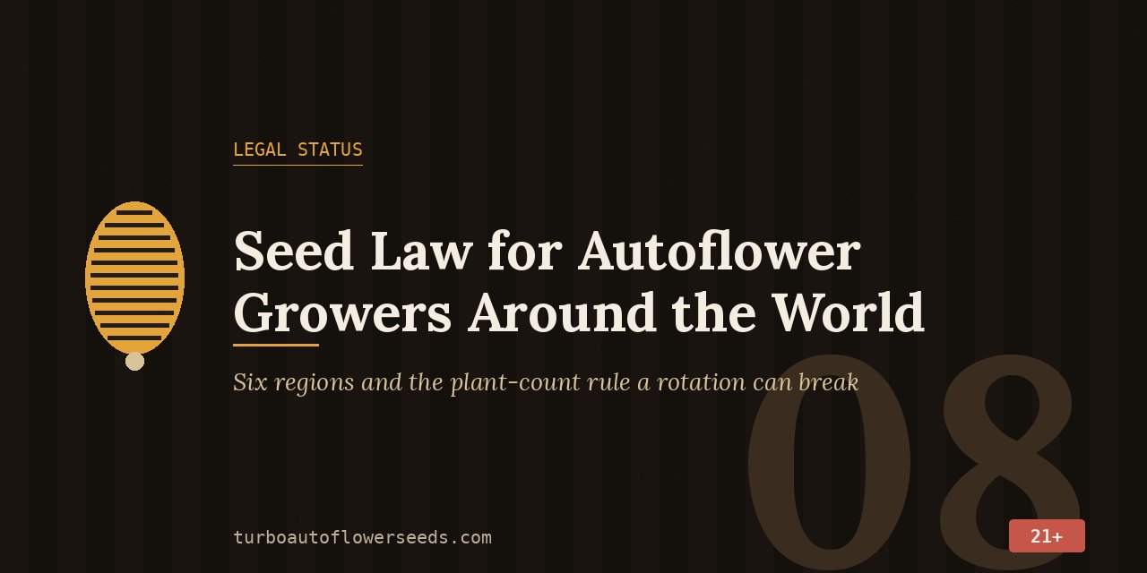 Legal status title card for autoflower seeds: six regions and the plant-count rule a perpetual rotation can break