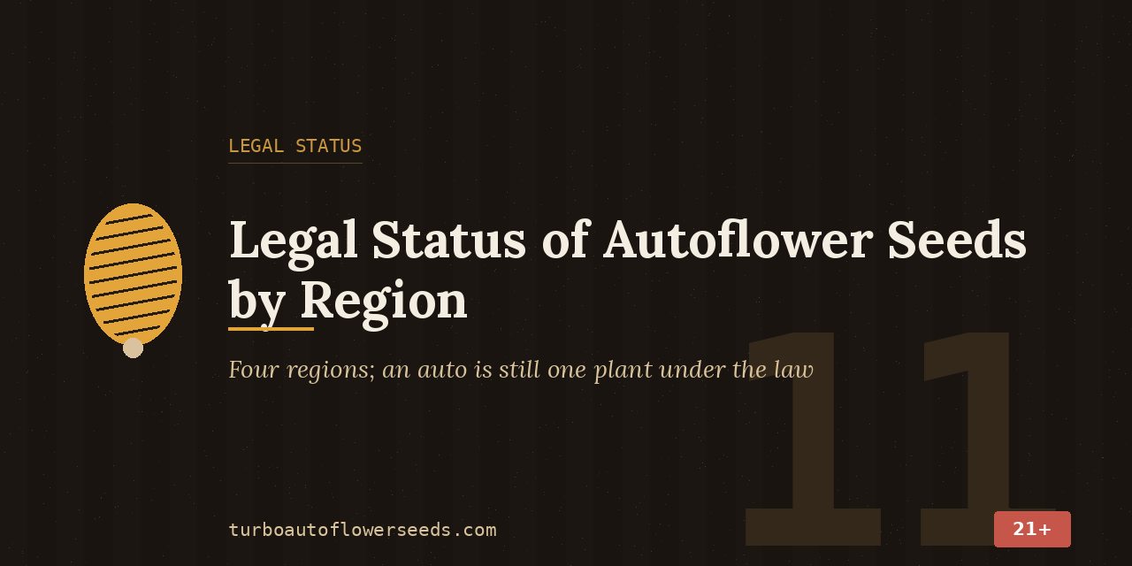 Legal status title card covering four regions and noting that an autoflower still counts as one plant under the law
