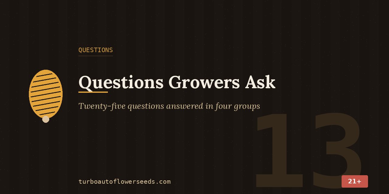 Reference title card indicating that twenty-five Jack Herer autoflower questions are answered below in four groups