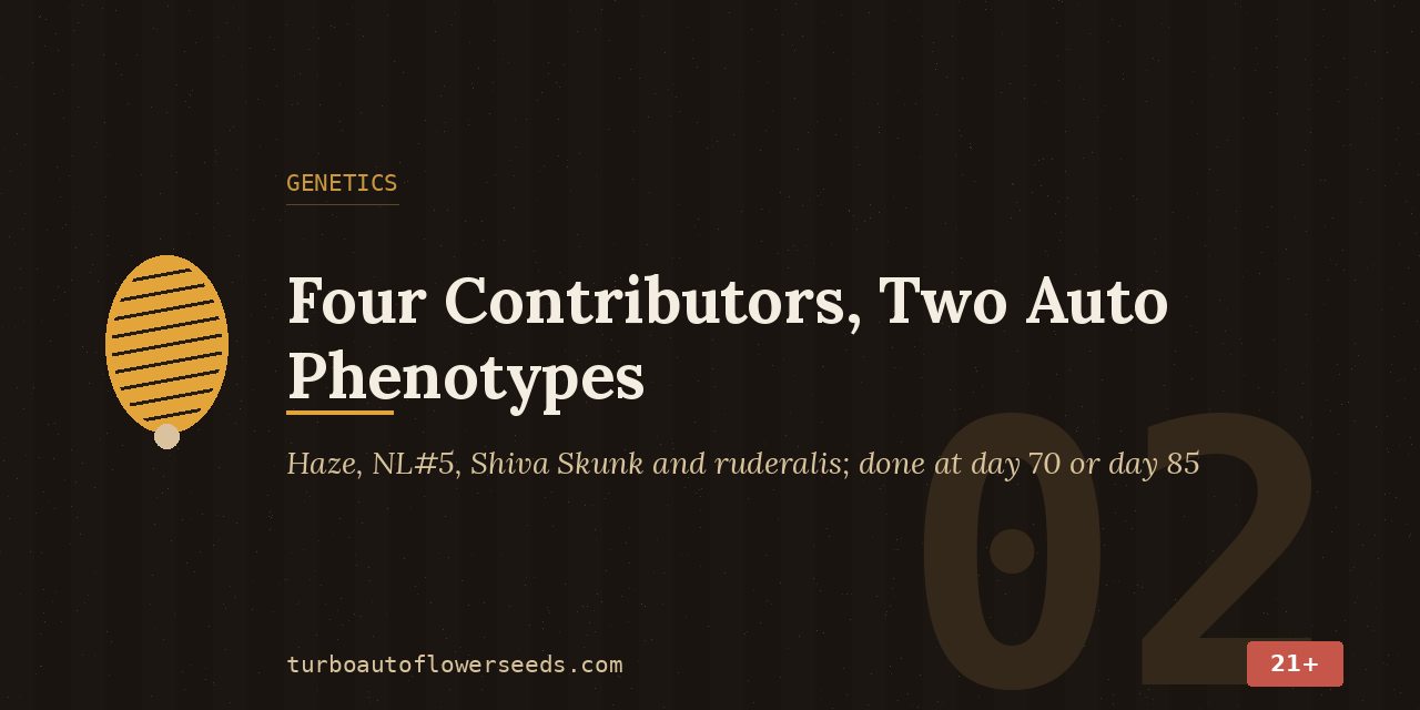 Genetics title card listing four contributors to the auto and two phenotypes that finish at day 70 or day 85
