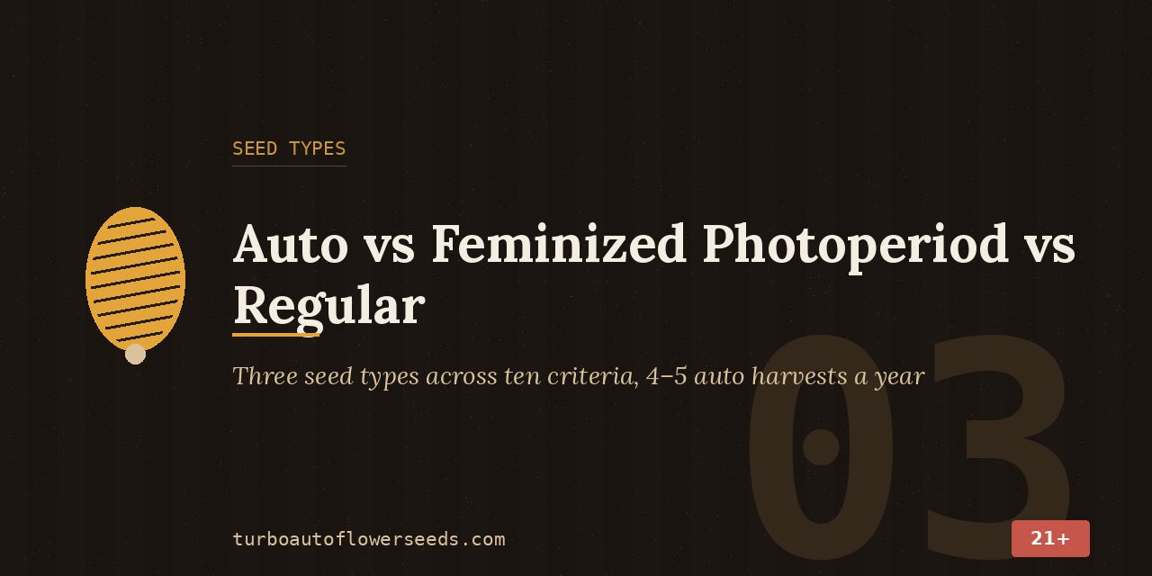 Seed types title card comparing auto, feminized photoperiod and regular Jack Herer across ten criteria, with four to five auto harvests a year