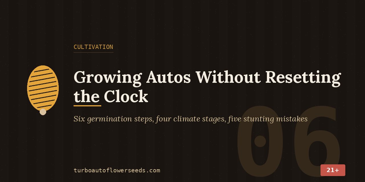 Cultivation title card for the Jack Herer auto: six germination steps, four climate stages and five mistakes that stunt the plant