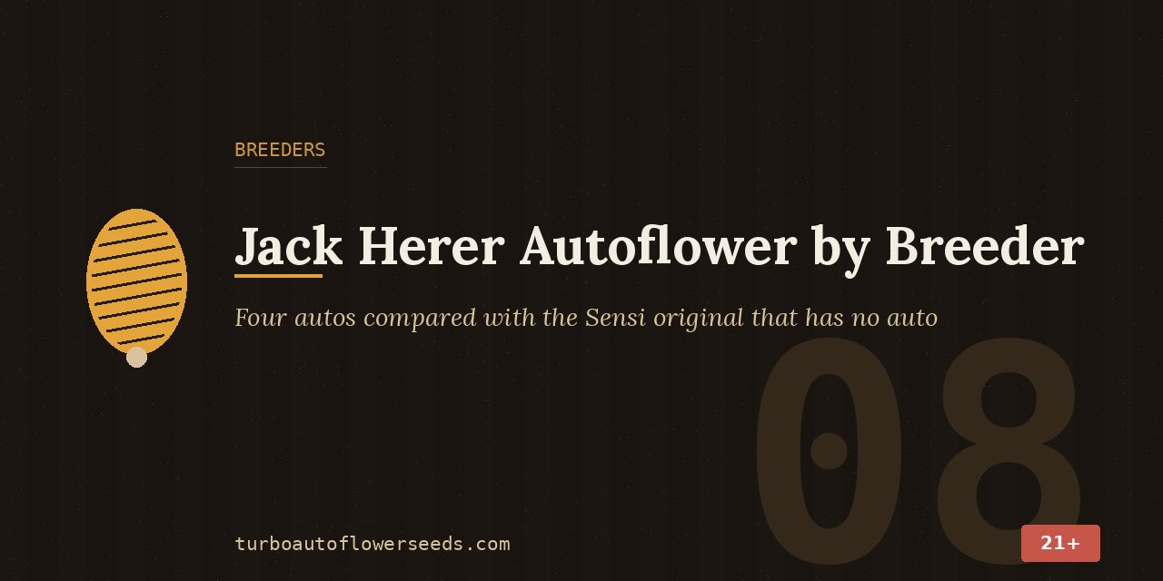 Breeders title card comparing four Jack Herer autos with the Sensi Seeds original, which has no autoflower version