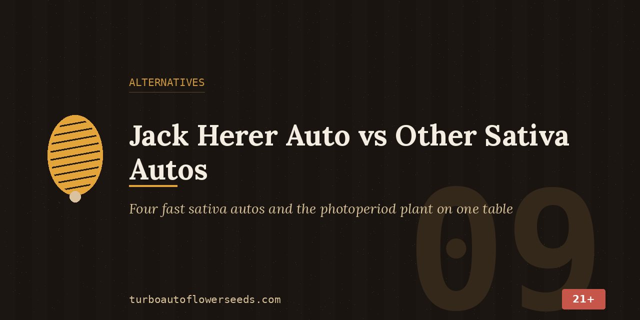Alternatives title card placing four fast sativa autos and the photoperiod Jack Herer on one comparison table