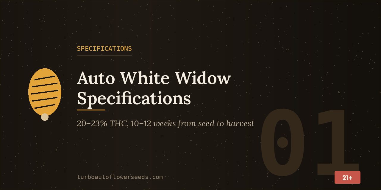 Specifications title card for auto White Widow noting 20 to 23 percent THC and a 10 to 12 week cycle
