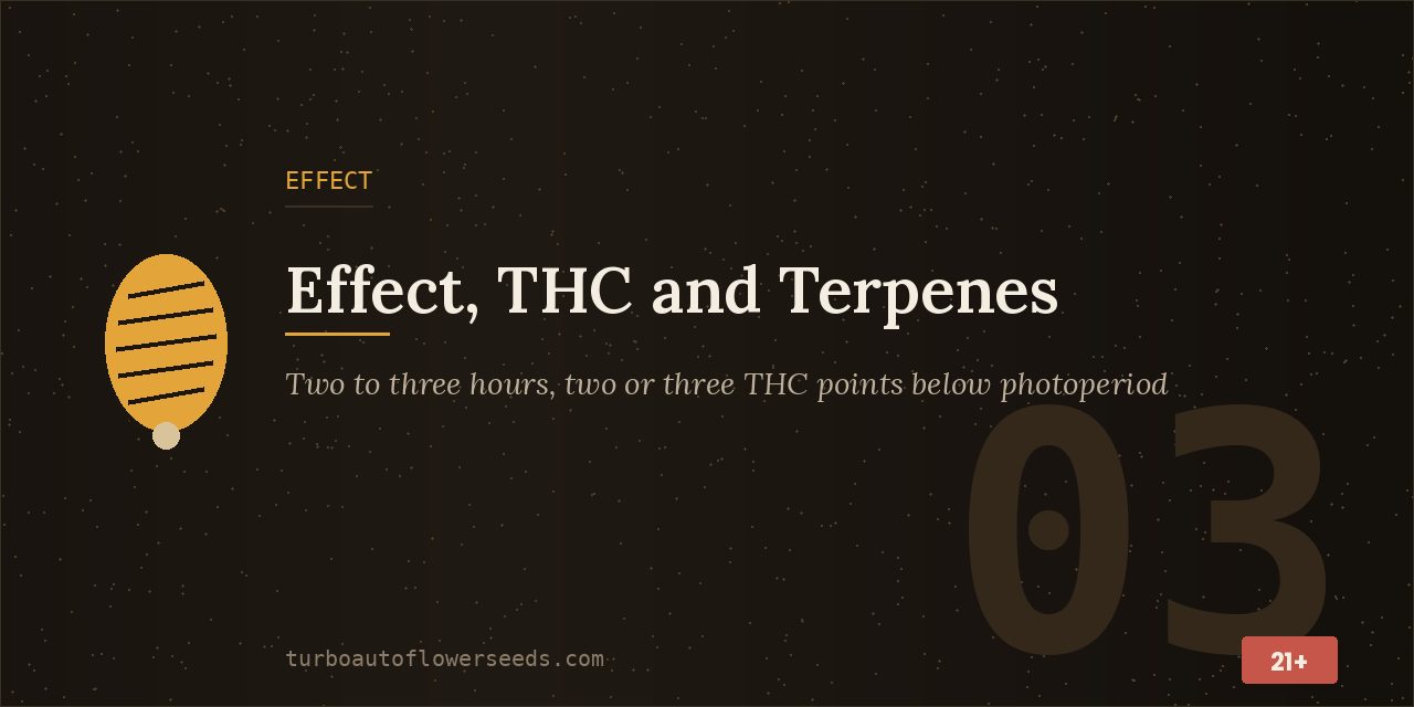Effect title card noting a two to three hour effect that sits two or three THC points below the photoperiod plant